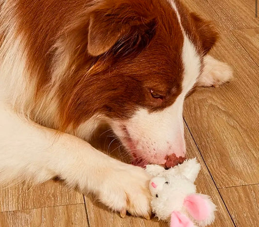 Pack of 3 Easter Toy Bundle