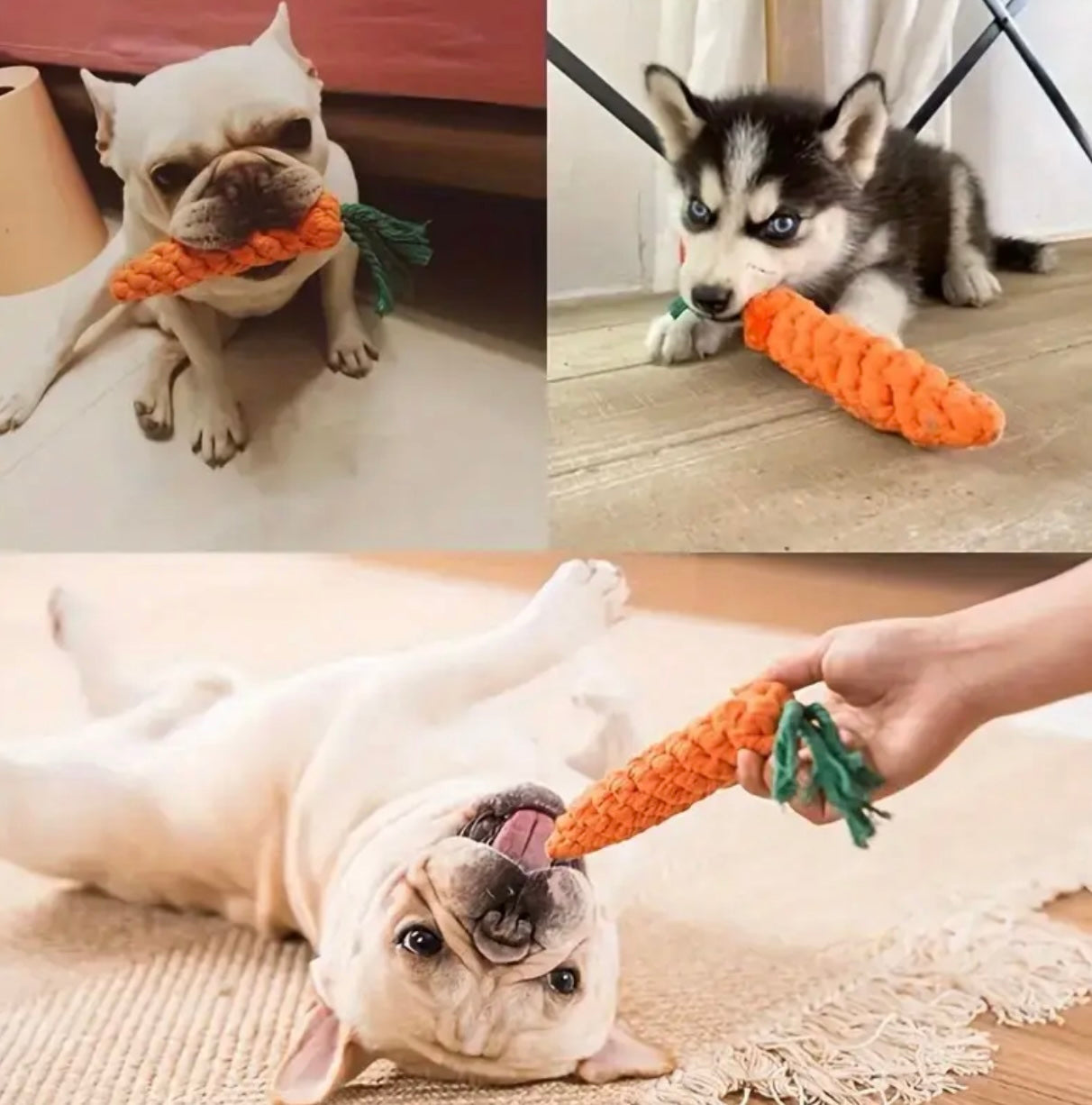 Pack of 3 Easter Toy Bundle