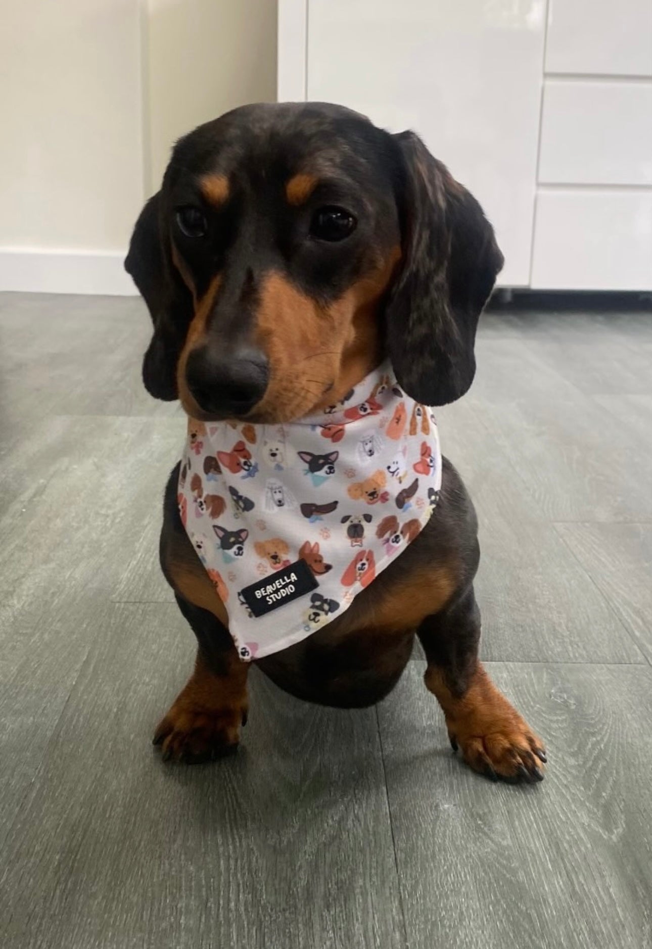 Mix of Mutts Bandana