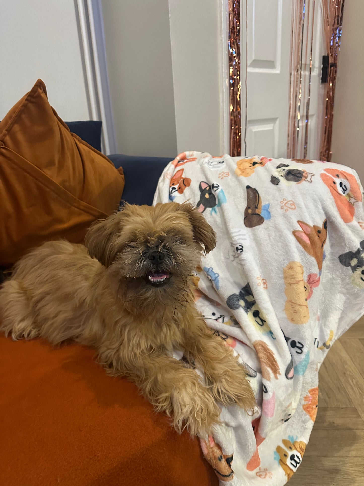 Mix Of Mutts Blanket